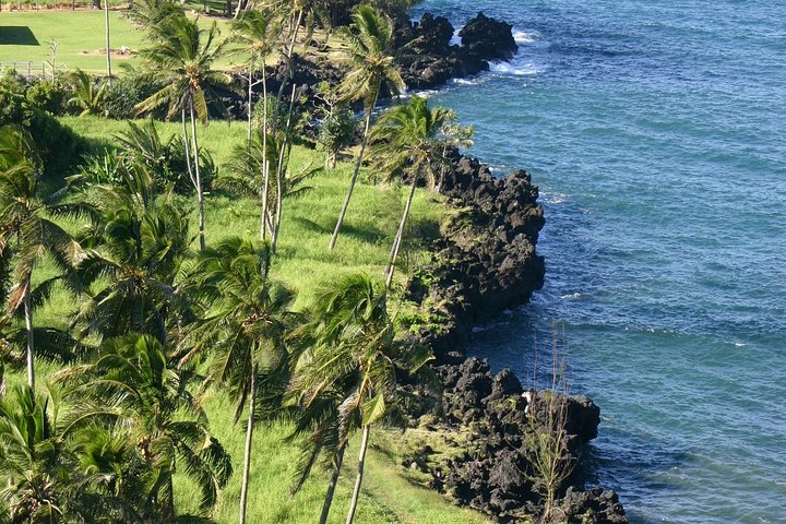 Small-Group Luxury Tour: Road to Hana and Ka'eleku Cavern Day Trip - Image 2