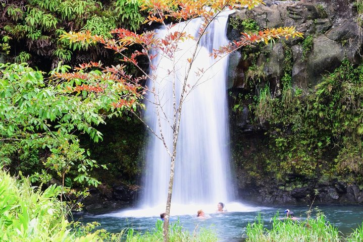 Small-Group Luxury Tour: Road to Hana and Ka'eleku Cavern Day Trip - Image 4