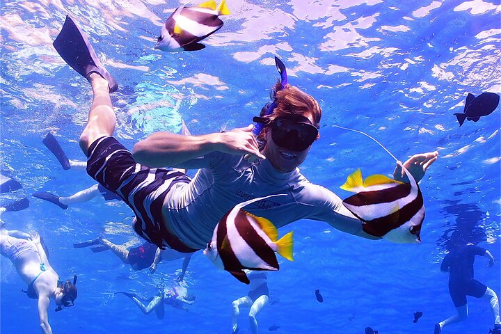 South Maui: Self-Guided eBike, Hike, and Snorkel Excursion - Image 2