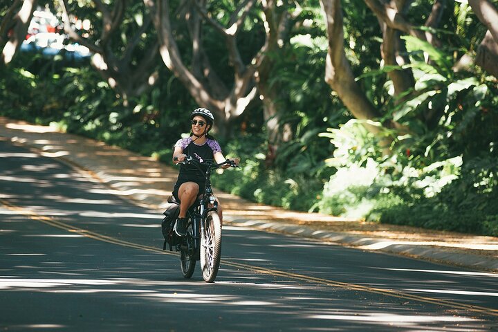 South Maui: Self-Guided eBike, Hike, and Snorkel Excursion - Image 3