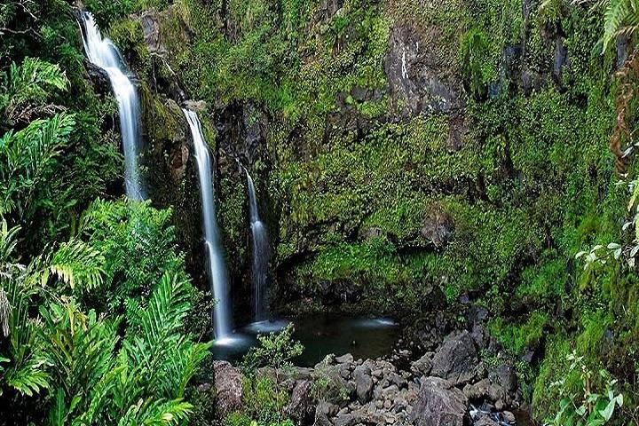 Tour 21A - Hana Rainforest & Waterfall Fun Tour from Maui - Image 2