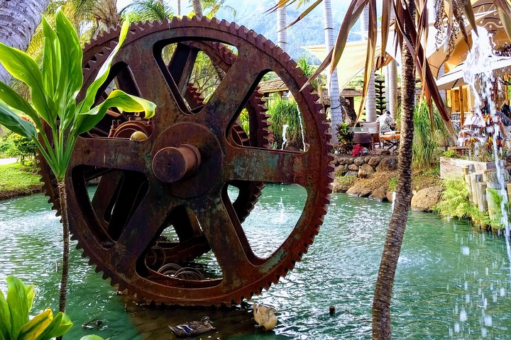 Tropical Plantation, Rainforest & Turtles - Image 5