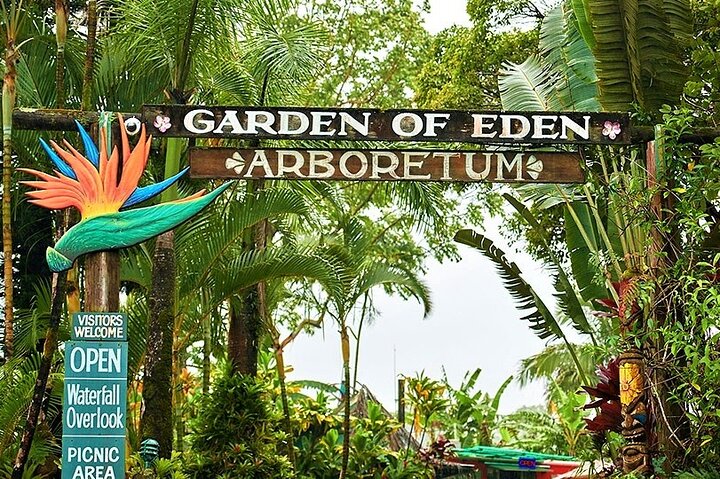 Viator Exclusive: Maui Tropical Rainforest Small Group Tour - Image 4