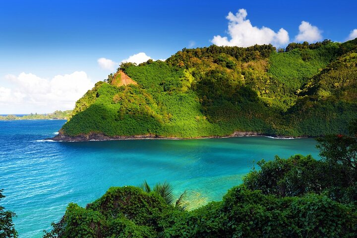 Viator Exclusive: Maui Tropical Rainforest Small Group Tour - Image 2