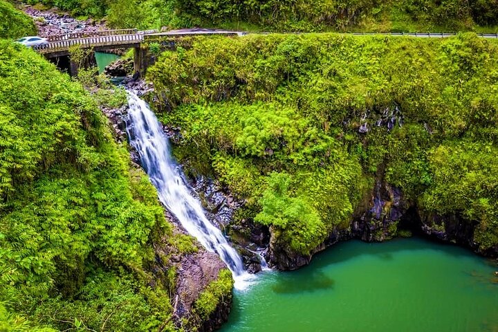 Viator Exclusive: Maui Tropical Rainforest Small Group Tour - Image 1