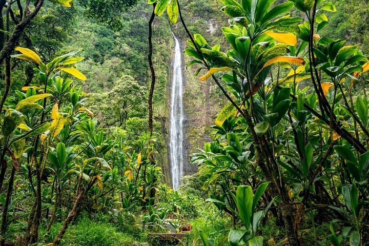 VIP Private Road to Hana and Haleakala Sunset Tour  - Image 2