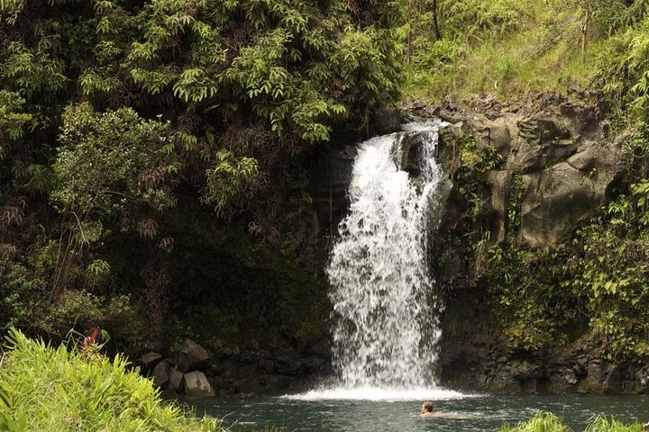 Waterfall and Rainforest Adventure - Image 1