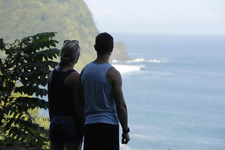 Waterfall and Rainforest Adventure - Image 4