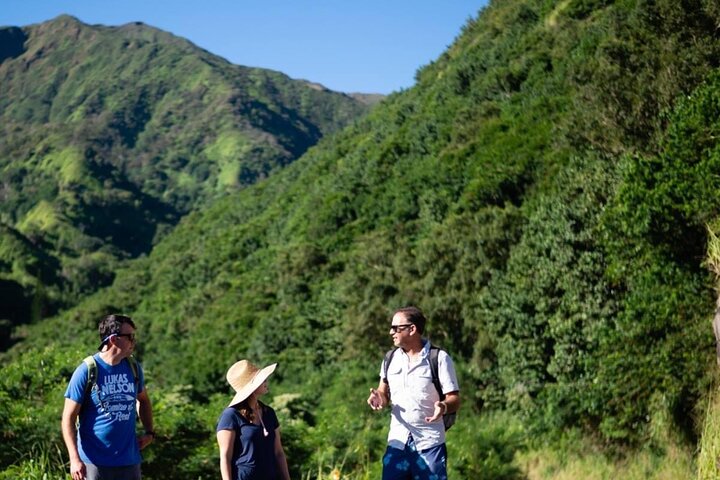 West Maui Adventure Tour with Private Guide - Image 2