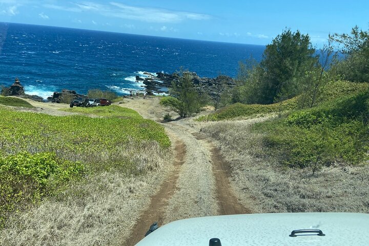 West Maui Mountains & Historic Lahina - a Private Jeep Tour - Image 3