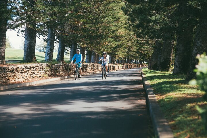 West Maui: Self-Guided eBike, Hike, and Snorkel Excursion - Image 5