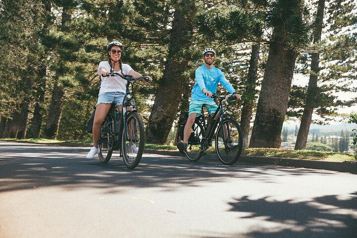 West Maui: Self-Guided eBike, Hike, and Snorkel Excursion - Image 4