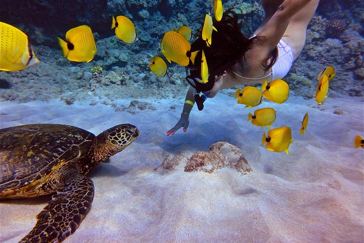 West Maui: Self-Guided eBike, Hike, and Snorkel Excursion - Image 2