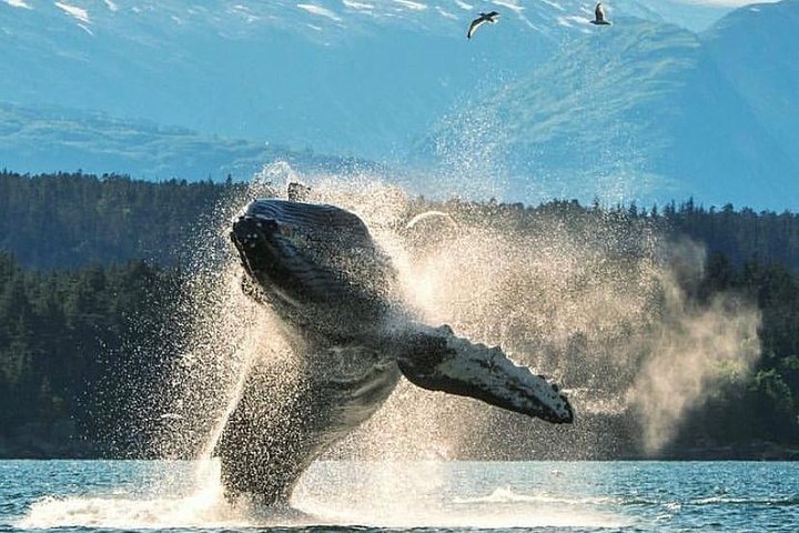 2 Hour Custom, Private, Group Charter - Image 2