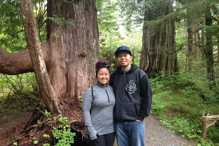 3 Hour Rainforest Walk and Totem Park - Image 2