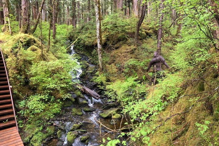 Alaska Bigfoot Adventures - Image 3