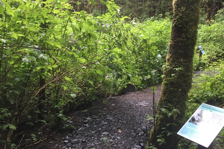 Alaska Bigfoot Adventures - Image 5