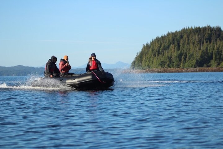 Alaska Marine Fast Boat Adventure  - Image 4