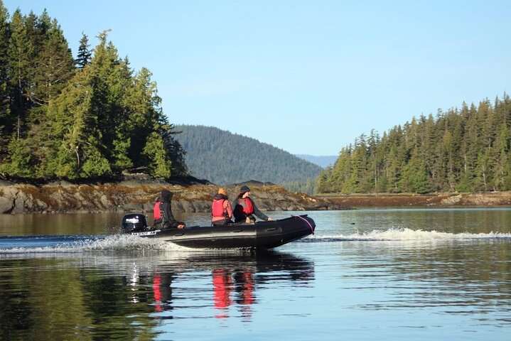 Alaska Marine Fast Boat Adventure  - Image 1