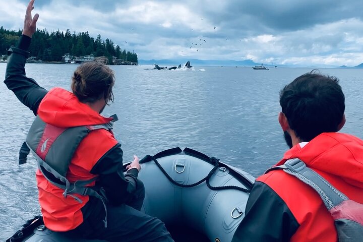 Alaska Marine Fast Boat Adventure  - Image 2