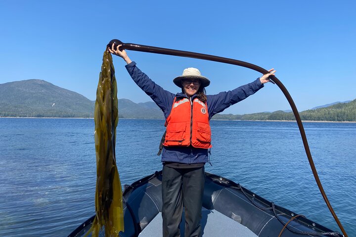 Alaska Ocean Wilderness Expedition  - Image 1