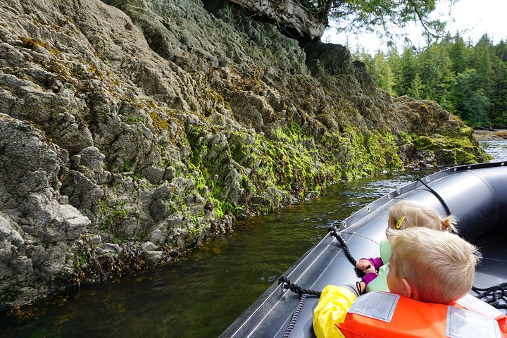 Alaska Ocean Wilderness Expedition  - Image 5