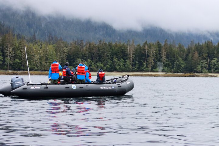 Alaska Ocean Wilderness Expedition  - Image 2