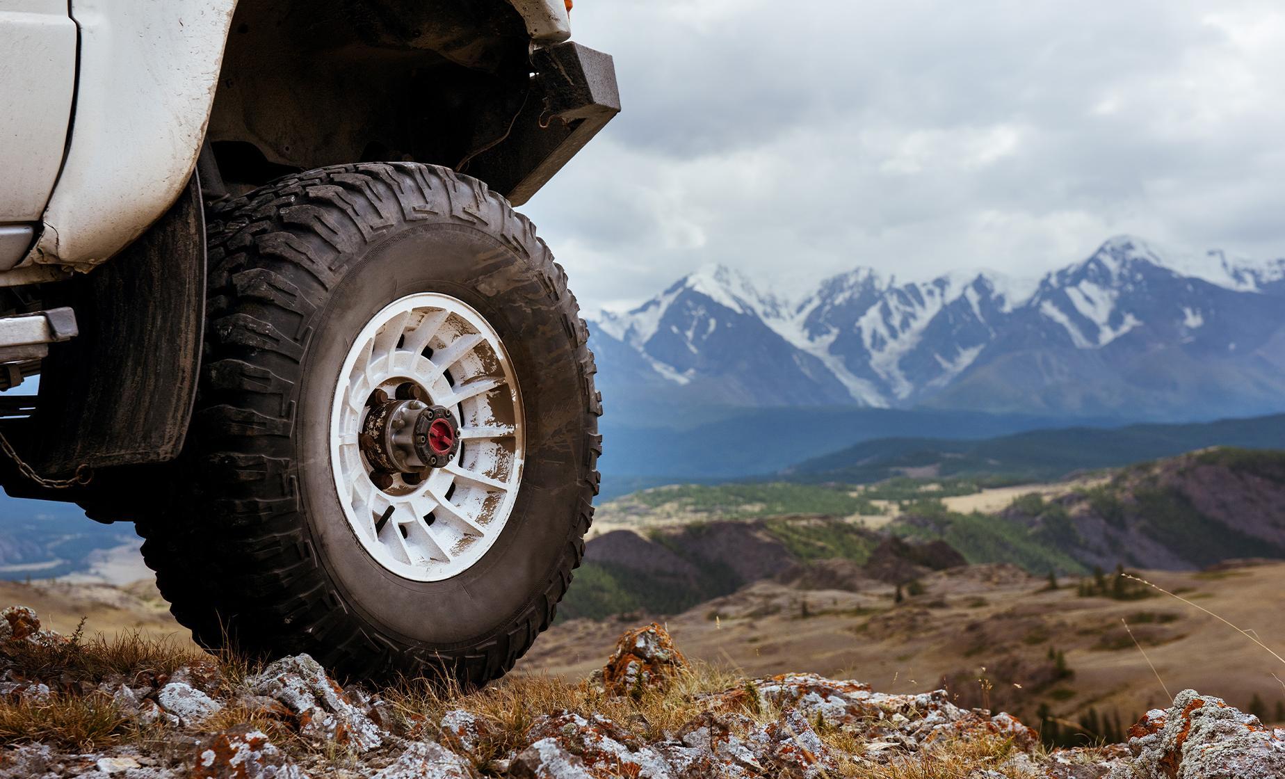 Backcountry Jeep and Canoe Safari from Ward Cove - Image 1