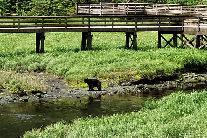 Customize Your Own Private Tour - Image 5