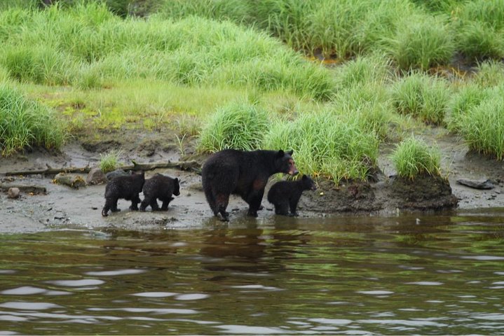 Island Hummer Tour - Image 3