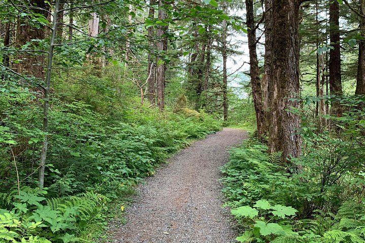 Ketchikan Exclusive Private Group Tour (Price up to 11 Passengers) - Image 3