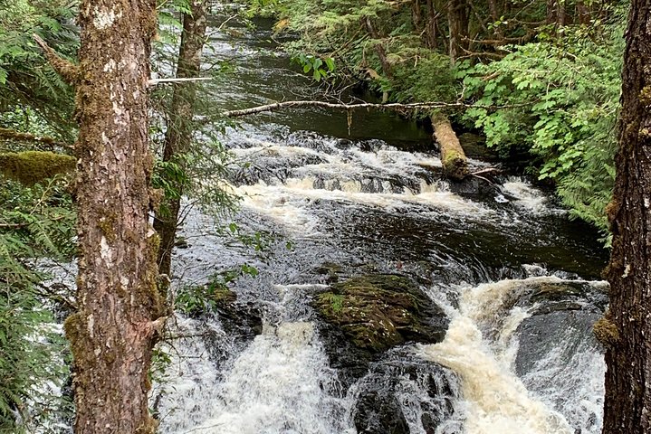 Ketchikan Exclusive Private Group Tour (Price up to 11 Passengers) - Image 2