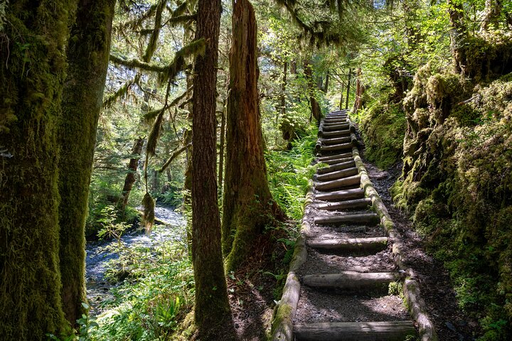 Ketchikan Magical Old-Growth Creek Trek Guided Tour - Image 2