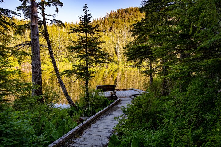 Ketchikan Mountain Lake Trek to Alpine Overlook - Image 3