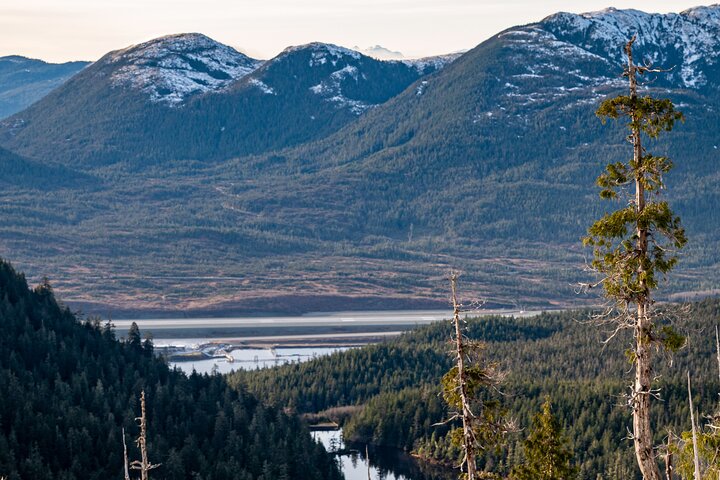 Ketchikan Mountain Lake Trek to Alpine Overlook - Image 1