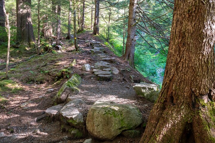 Ketchikan Mountain Lake Trek to Alpine Overlook - Image 4
