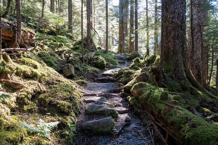 Ketchikan Mountain Lake Trek to Avalanche Chute - Image 4