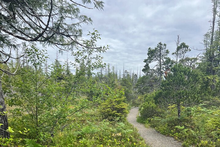 Ketchikan Remote Beach Hike with Totem Park Stop - Image 2