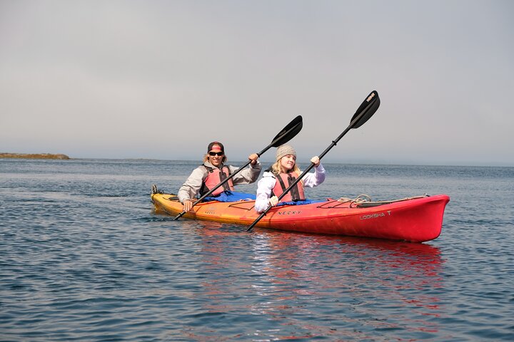 Ketchikan Shore Excursion: Eagle Island Sea Kayaking - Image 1