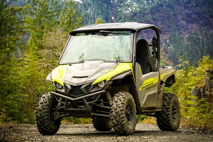 Mahoney Lake Off-Road UTV Tour - Image 1