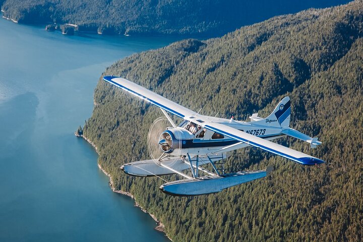 Misty Fjords National Monument Floatplane Tour - Image 2