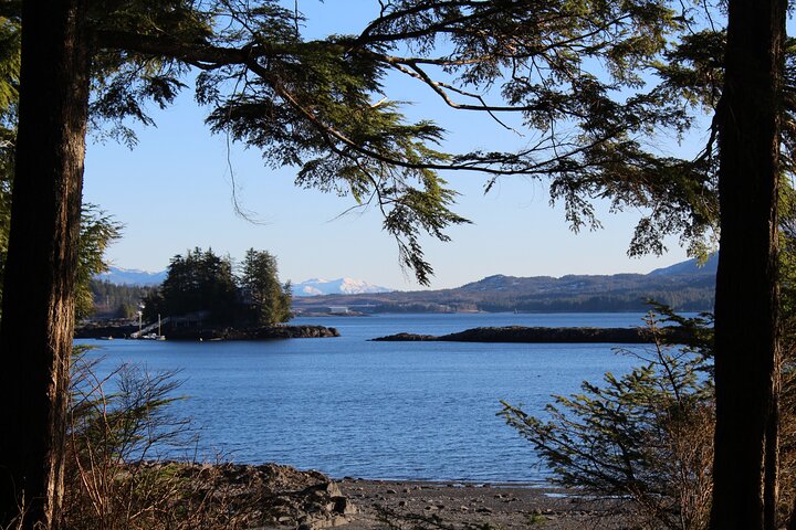 Photo Safari in Ketchikan, Alaska. Spend 3 hrs "off the tourist beaten path".  - Image 1