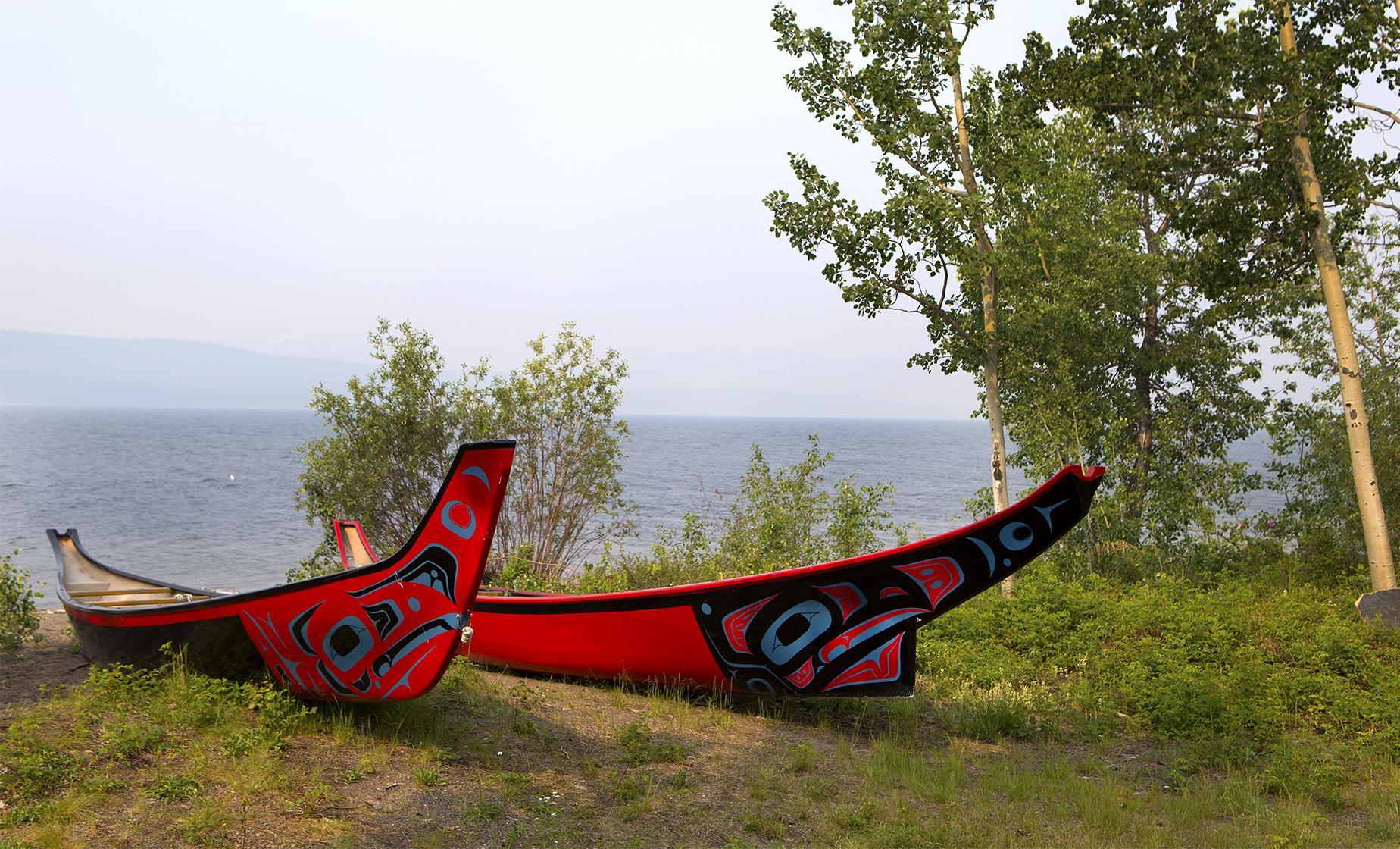 Rainforest Canoe and Nature Trail from Ward Cove - Image 1