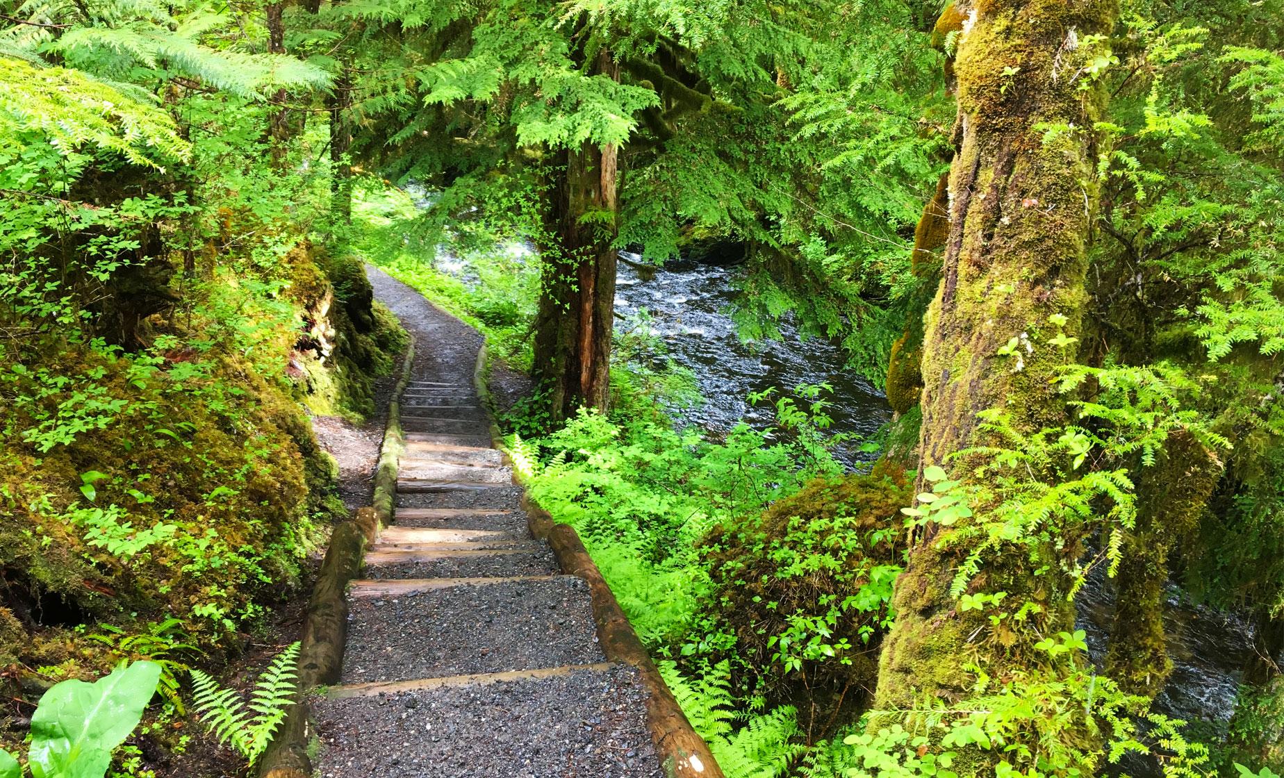 Rainforest Walk and Totem Park (3 Hours) - Image 1