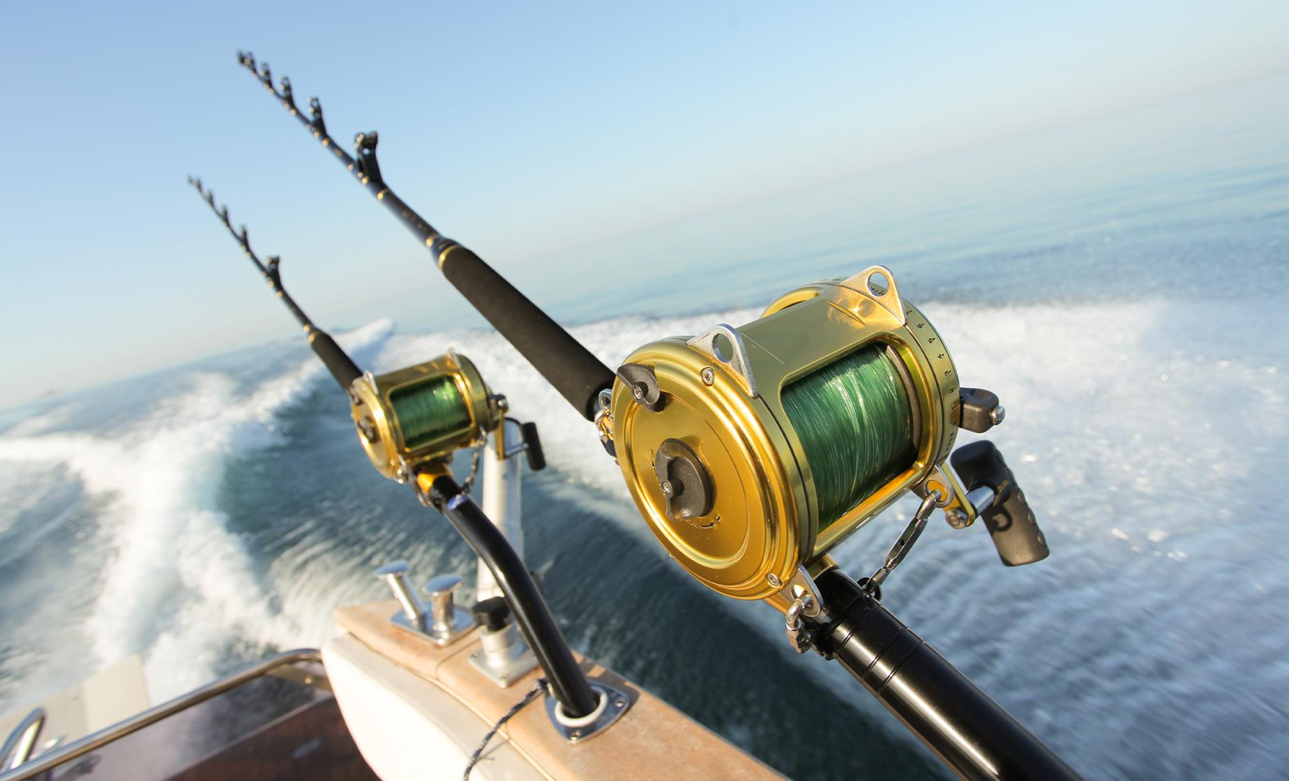 Salmon Fishing Adventure - Image 1