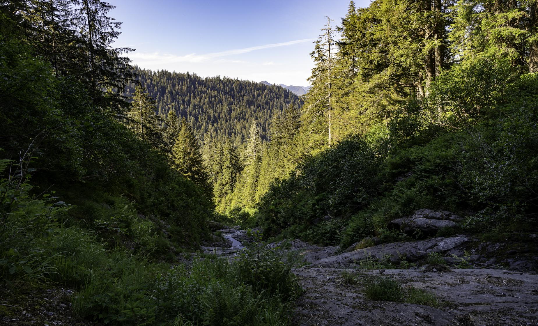 Tongass National Forest Scenic Lake Hike - Image 1