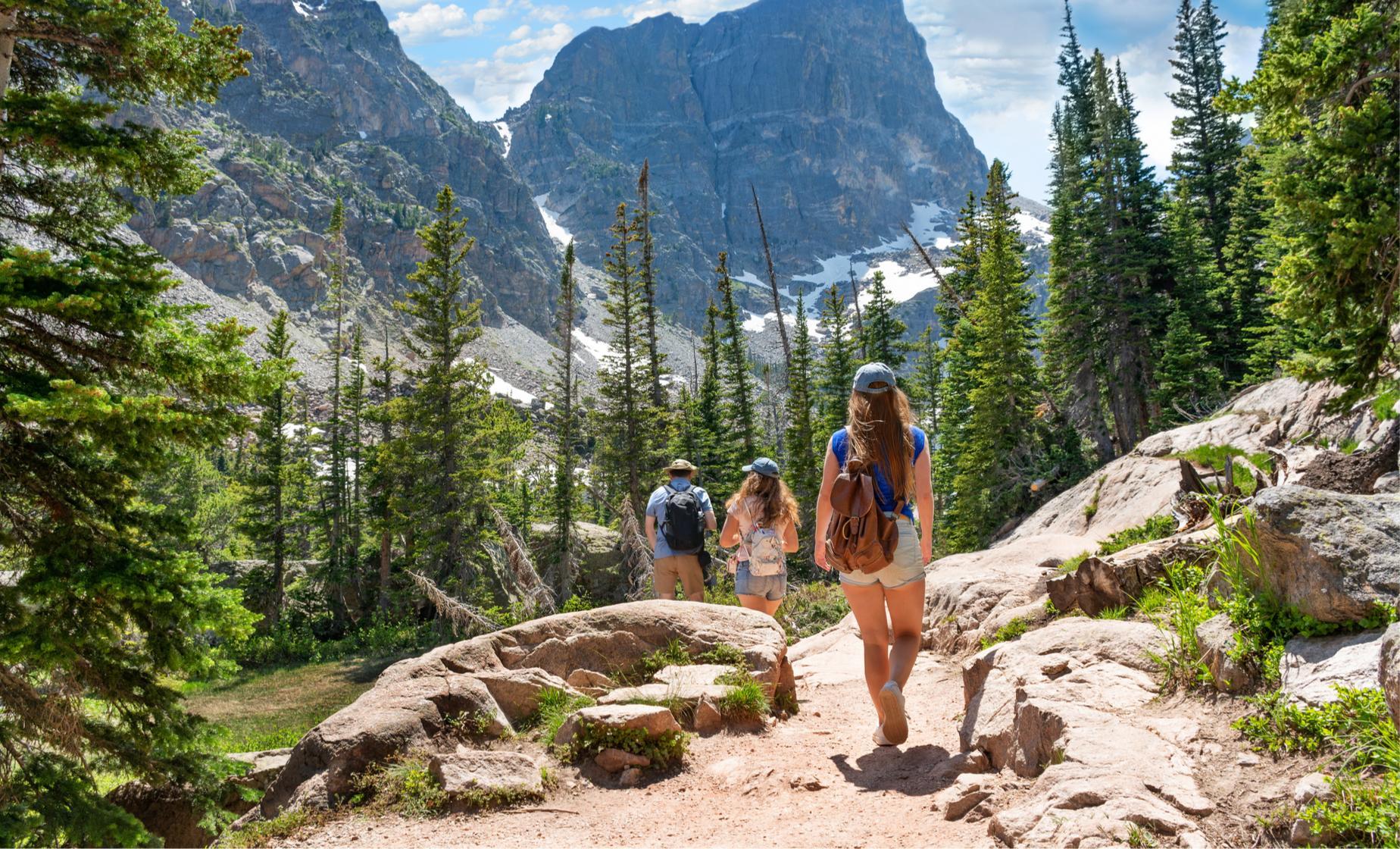 Wilderness Hike and Brew from Ward Cove - Image 1