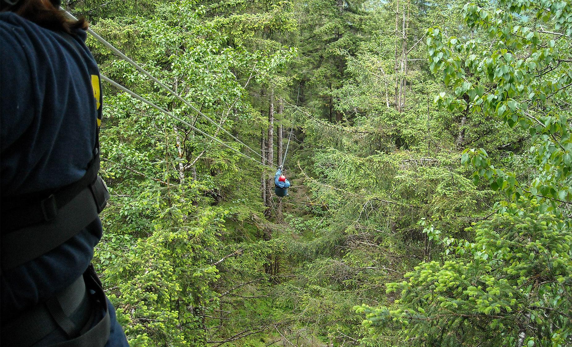 Zipline Adventure Park from Ward Cove - Image 1