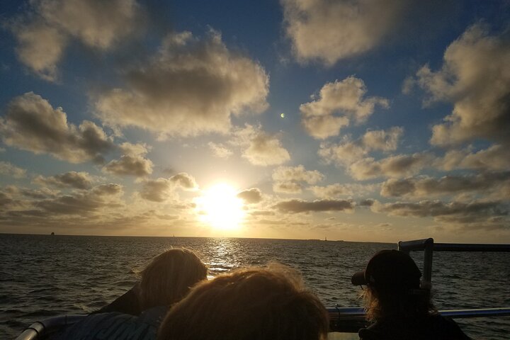 4-Hour Private Cruise to a Sand Bar on a Boat in Key West - Image 2