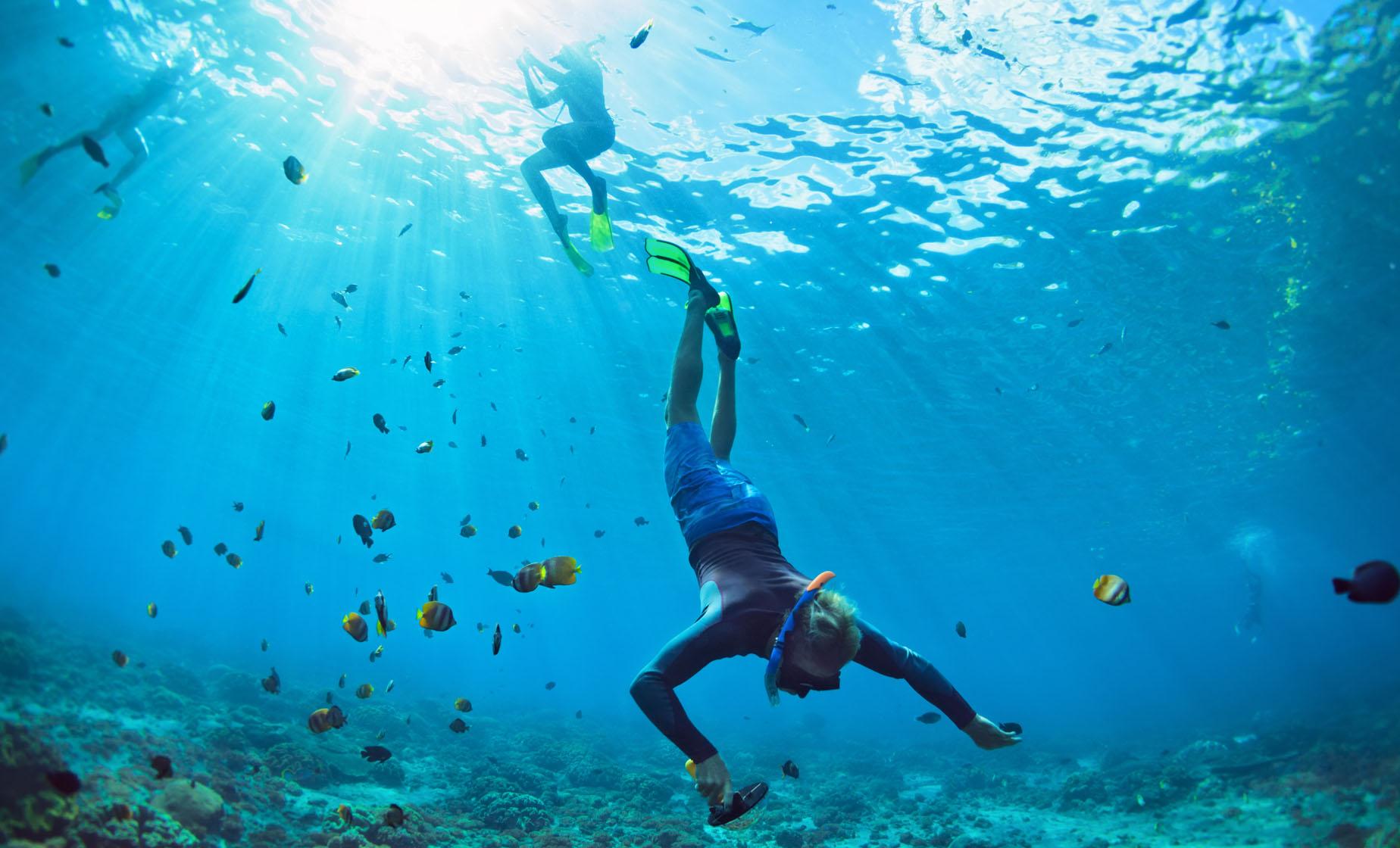 Afternoon Snorkel and Sail Adventure - Image 1